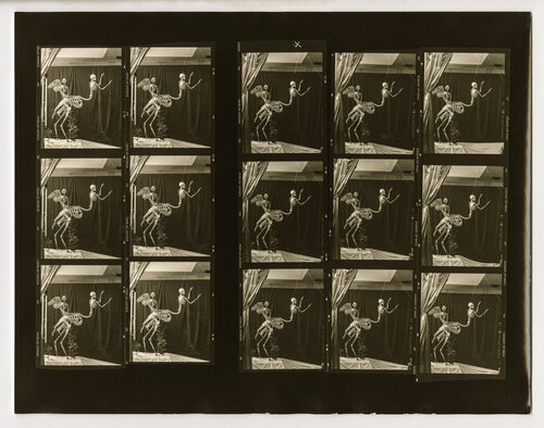 Cupid and Centaur in the Museum of Love, Marseille van Joel-Peter Witkin, Fotografie te koop op Singulart