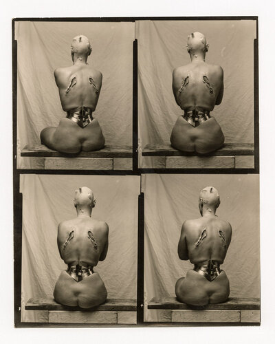 Woman Once a Bird, Los Angeles van Joel-Peter Witkin, Fotografie te koop op Singulart