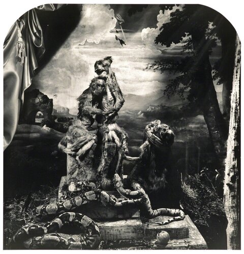 Laokoon van Joel-Peter Witkin, Fotografie te koop op Singulart