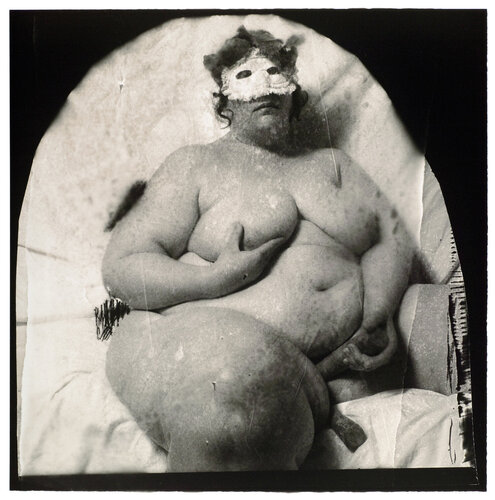 Carrot Cake 1 van Joel-Peter Witkin, Fotografie te koop op Singulart