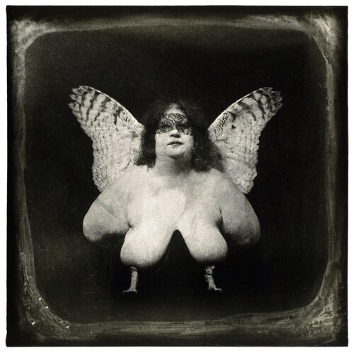 The Bird of Queveda, NM van Joel-Peter Witkin, Fotografie te koop op Singulart