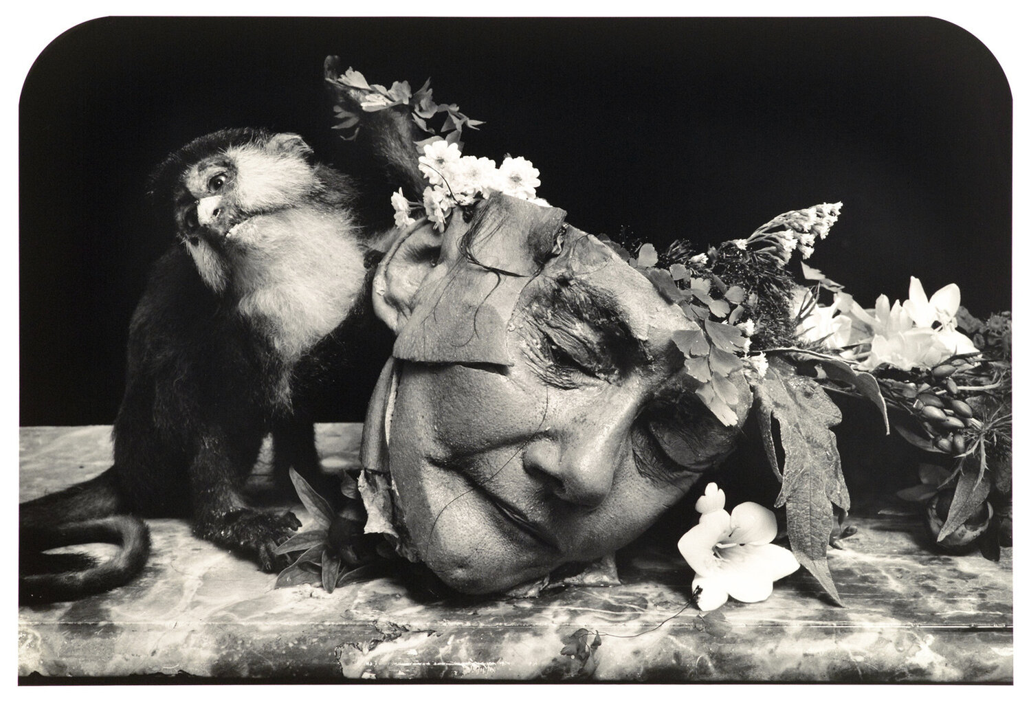 Face of a Woman, Marseilles Joel-Peter Witkin Fotografie zu verkaufen