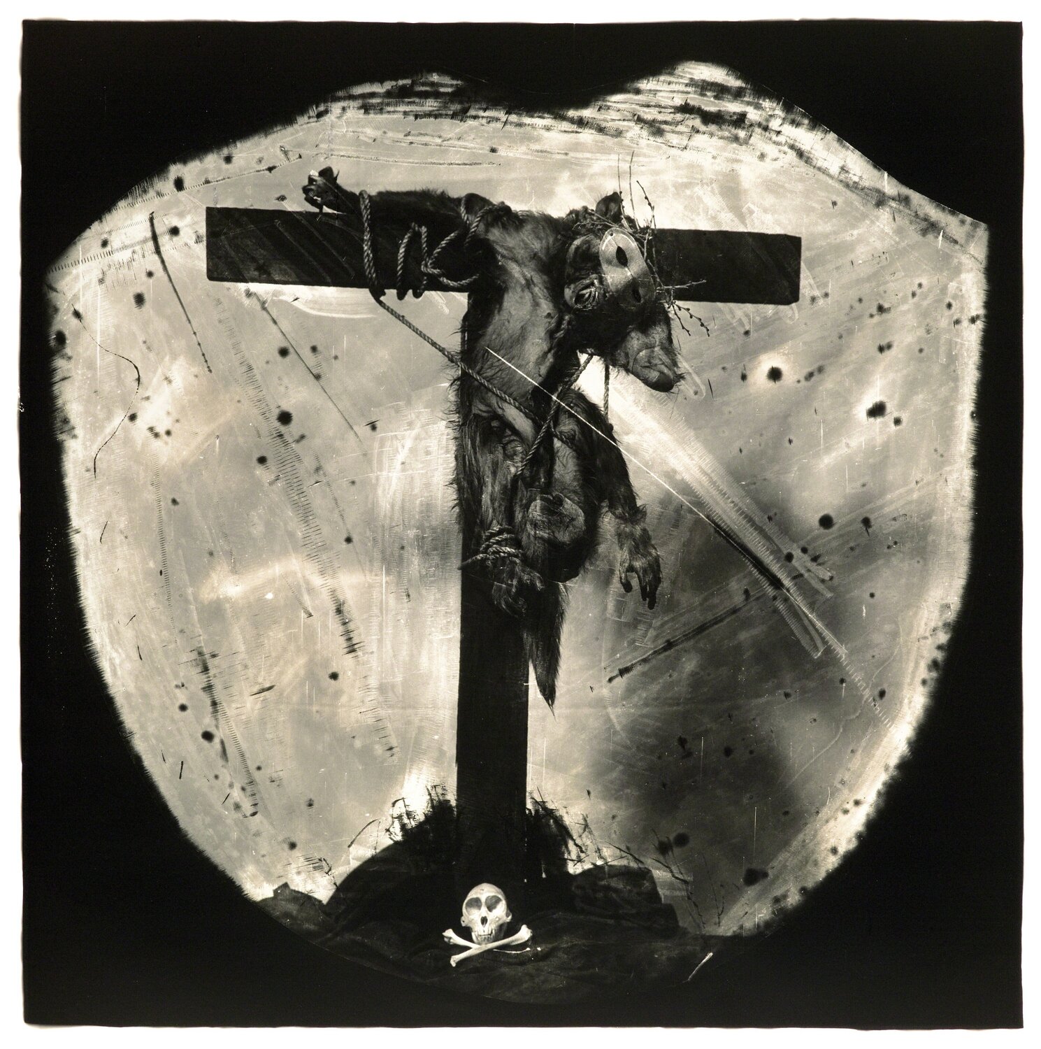 Savior of the Primates Joel-Peter Witkin Fotografia in vendita
