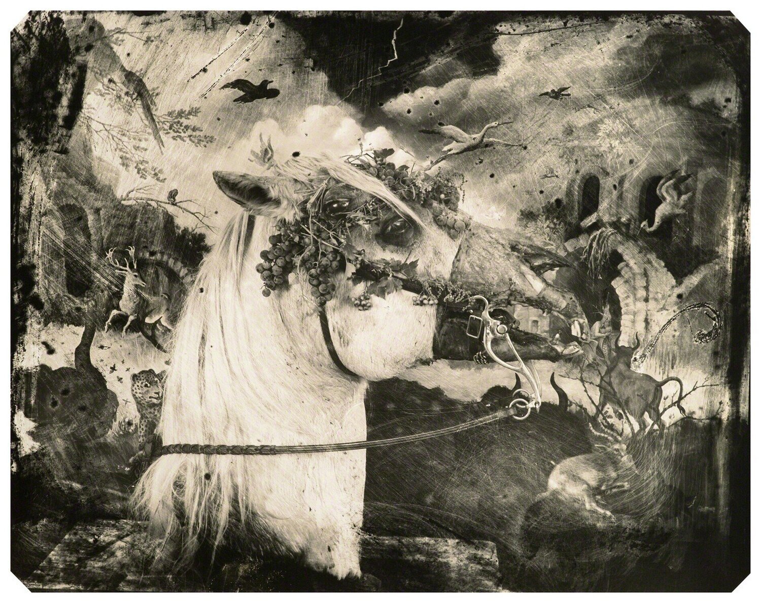 Printemps, New Mexico Joel-Peter Witkin Fotografie te koop