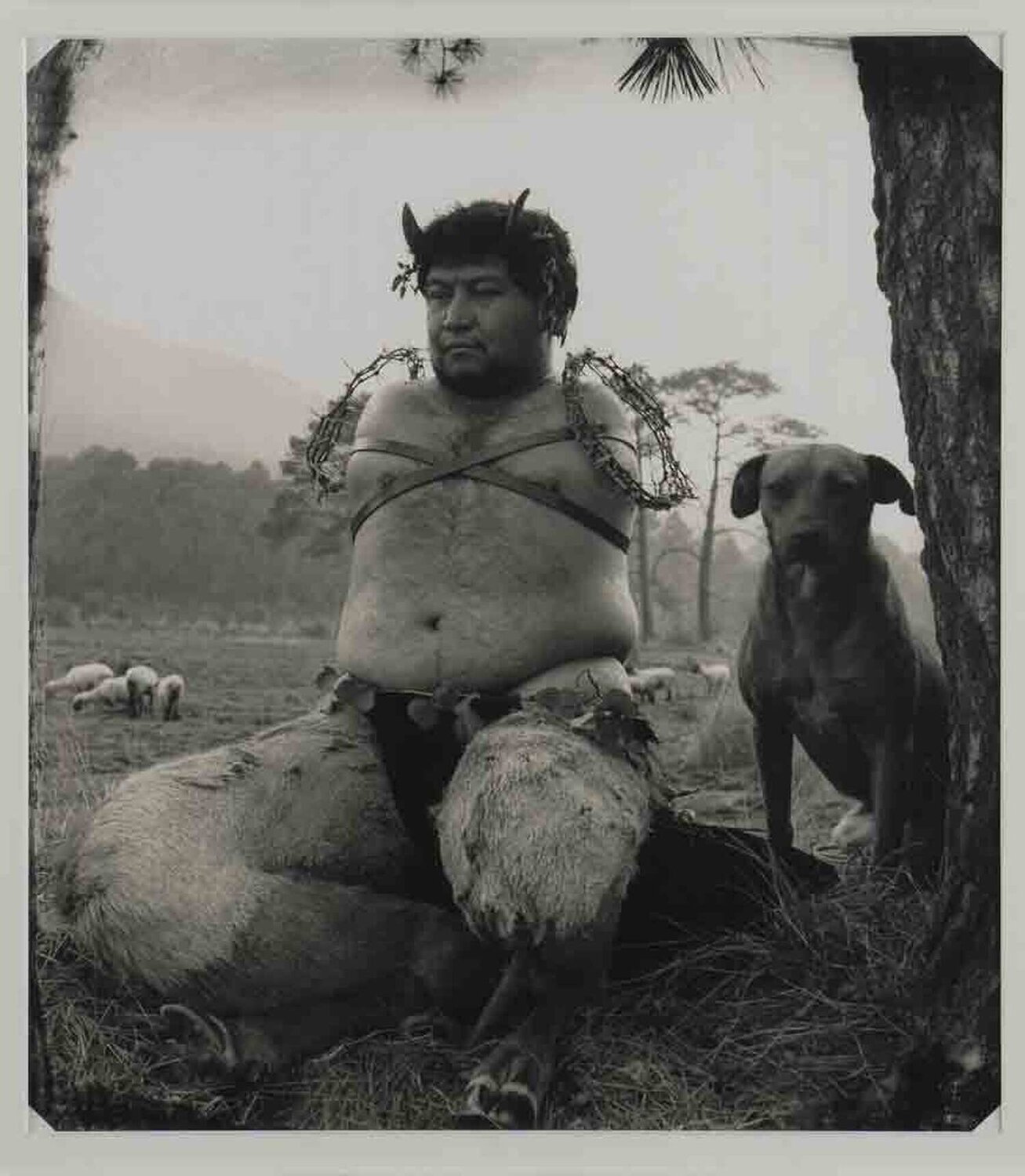Satiro Joel-Peter Witkin Fotografie te koop