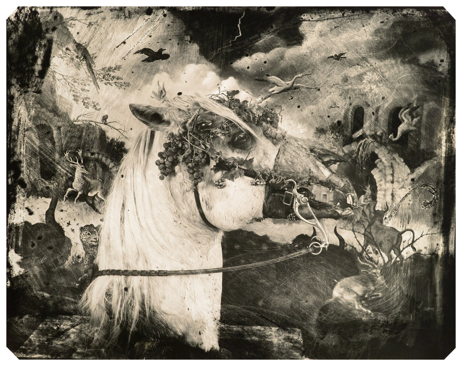 Printemps, NM Joel-Peter Witkin Fotografie te koop