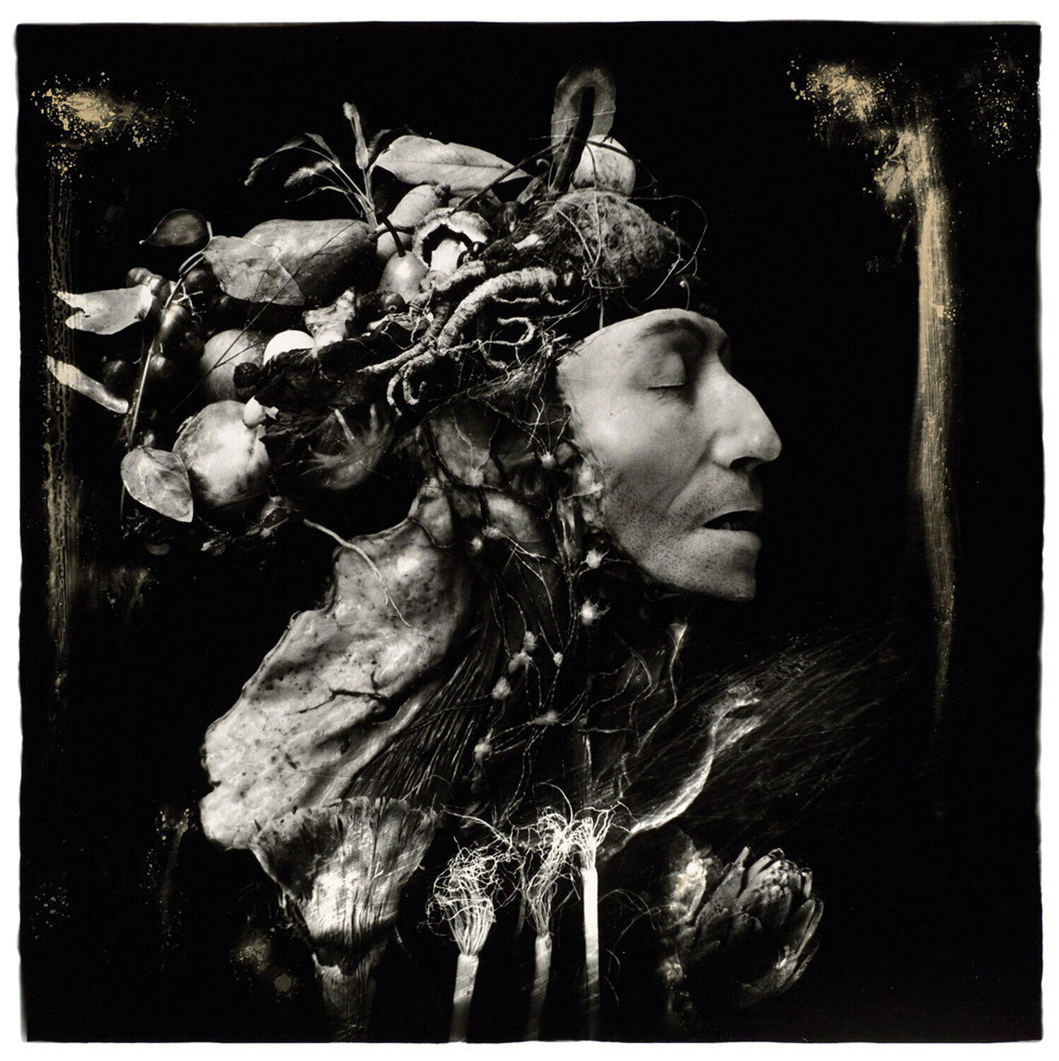 Harvest, Philadelphia Joel-Peter Witkin Fotografie zu verkaufen