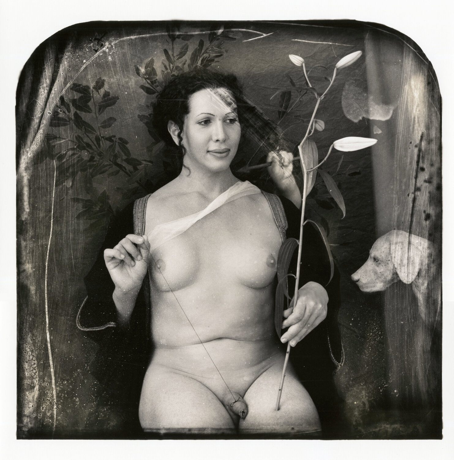 Portrait of Signora di Noili Joel-Peter Witkin Fotografie zu verkaufen