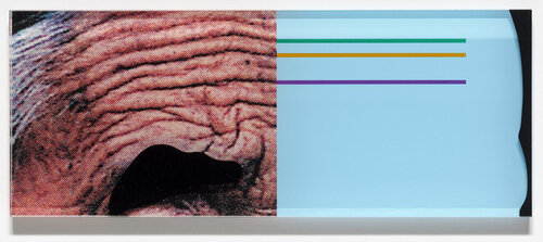 Raised Eyebrows / Furrowed Foreheads: Crooked Made Straight van John Baldessari, Afdruk te koop op Singulart