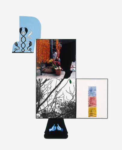 Flower Shop/and Branch (with Green Intrusion) van John Baldessari, Fotografie te koop op Singulart
