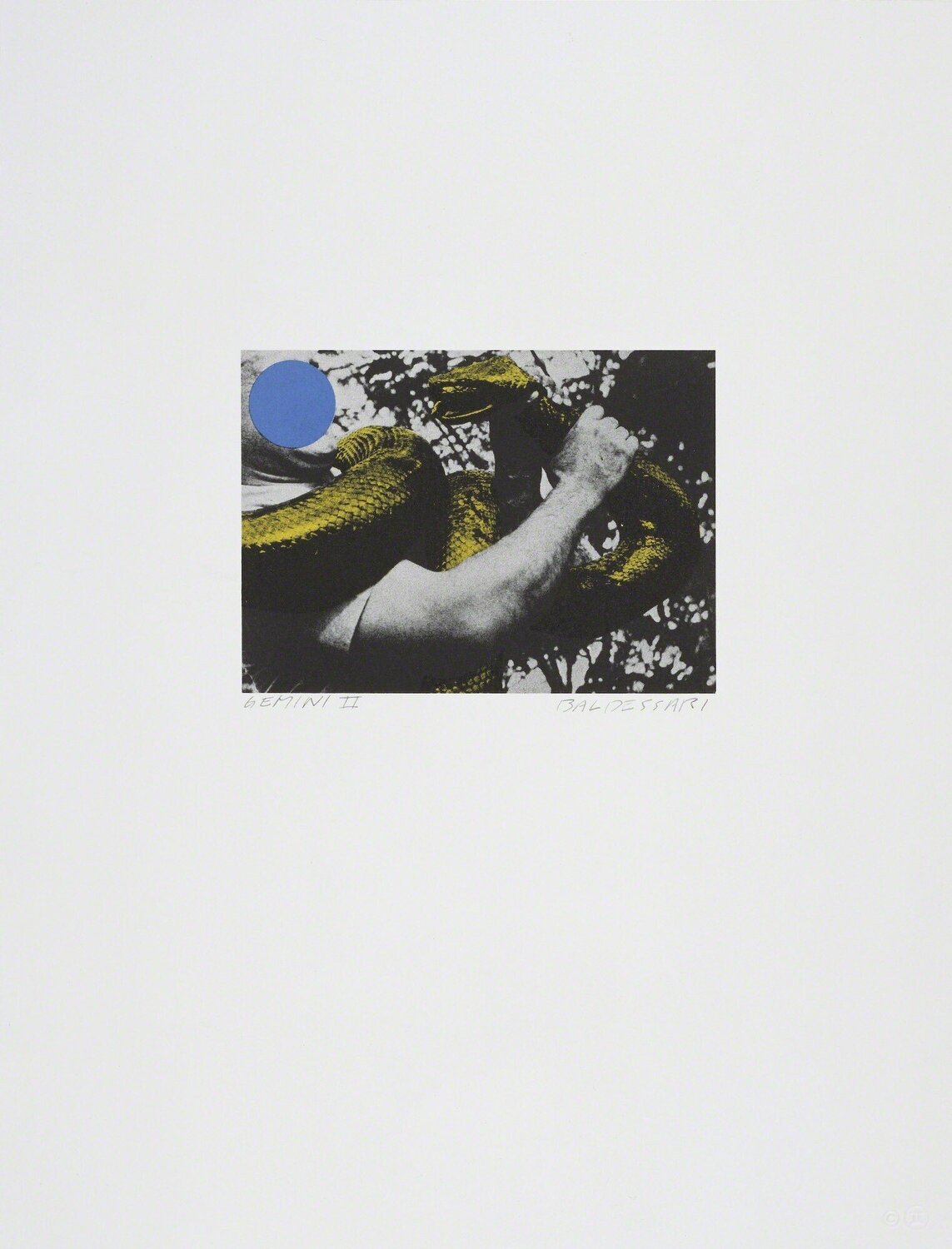 Man with Snake (Blue and Yellow) John Baldessari Stampa in vendita