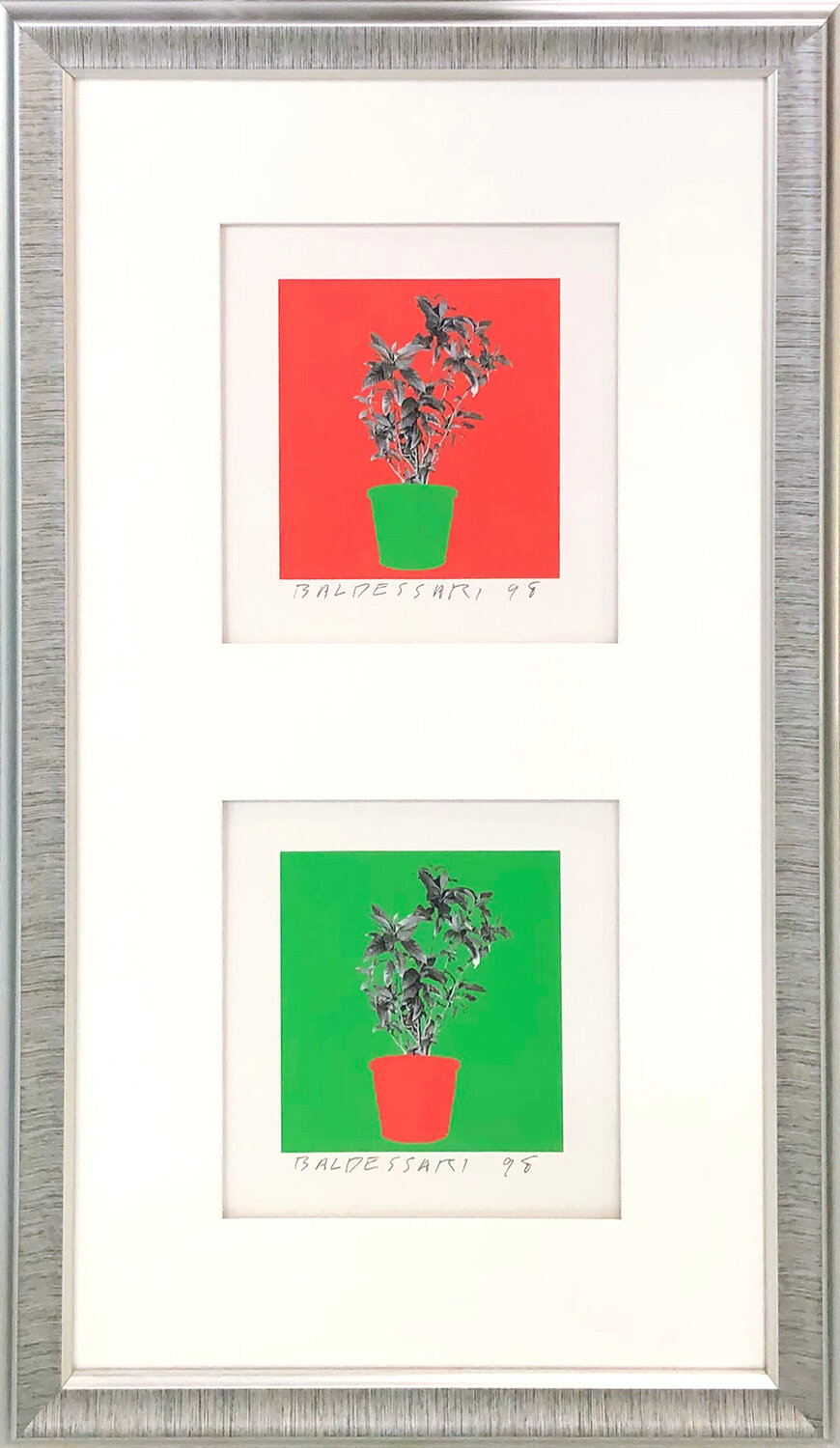 UNTITLED (FROM 8 PLANTS X 6 = 48) John Baldessari Stampa in vendita