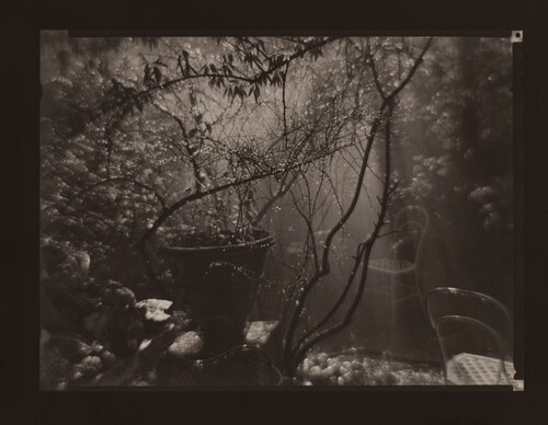 The Magic Garden (of architect Otto Rothmayer) During a Summer Shower by Josef Sudek, 사진 for Sale on Singulart
