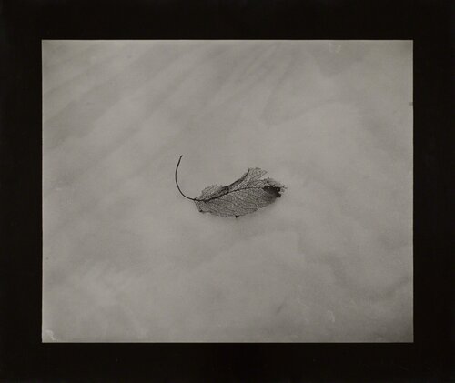 Simple Still Life by Josef Sudek, 사진 for Sale on Singulart