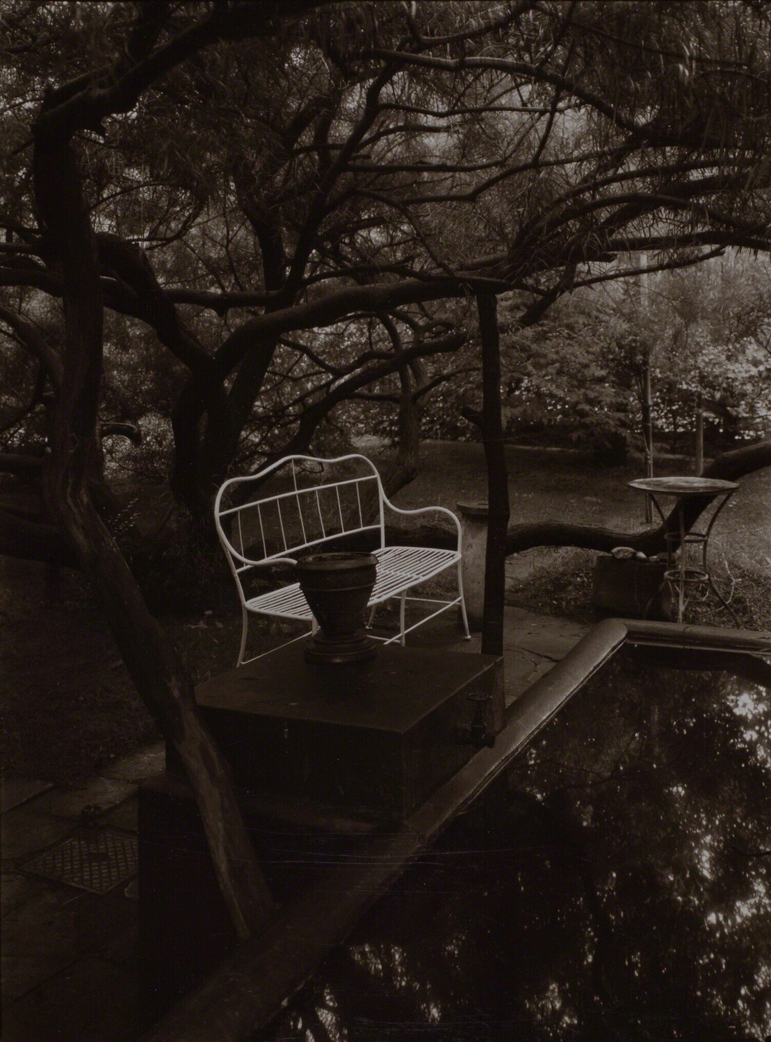 From the series “In the Magical Garden” Josef Sudek Fotografie zu verkaufen