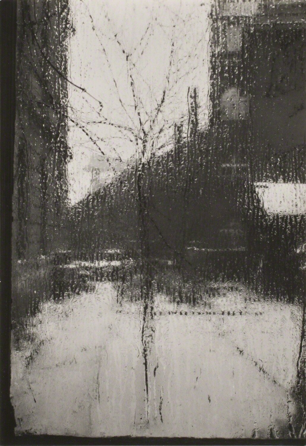 From the series "The Window of my Studio" Josef Sudek Fotografie zu verkaufen
