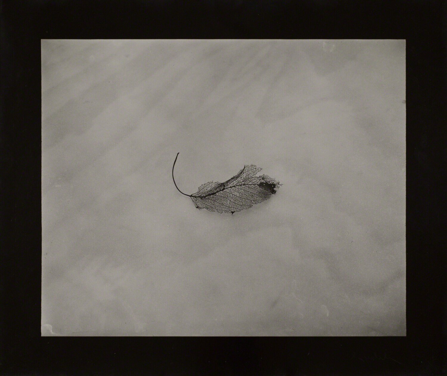 Simple Still Life Josef Sudek Fotografia in vendita