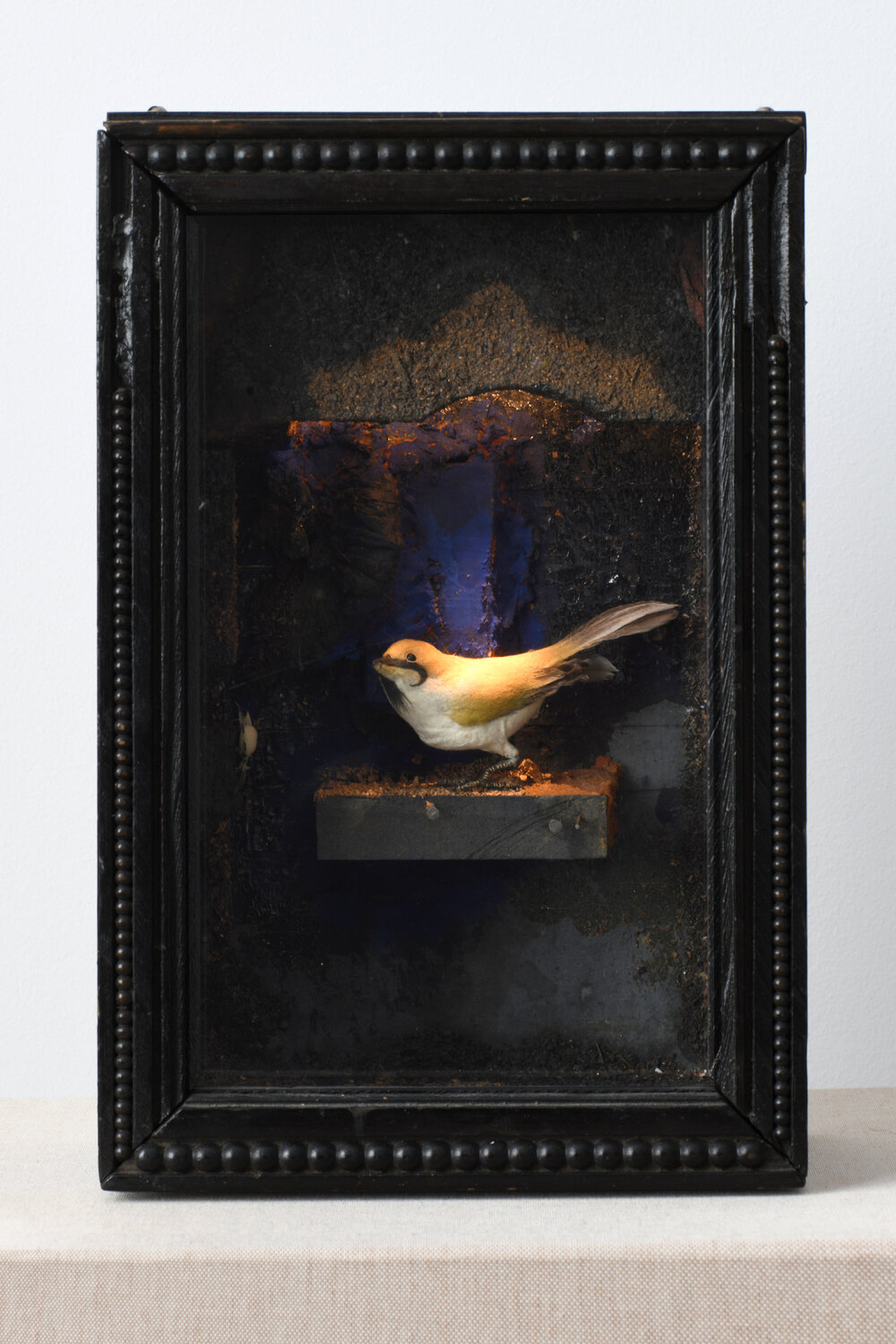 Untitled (Yellow Bird Habitat) Joseph Cornell Altri media in vendita