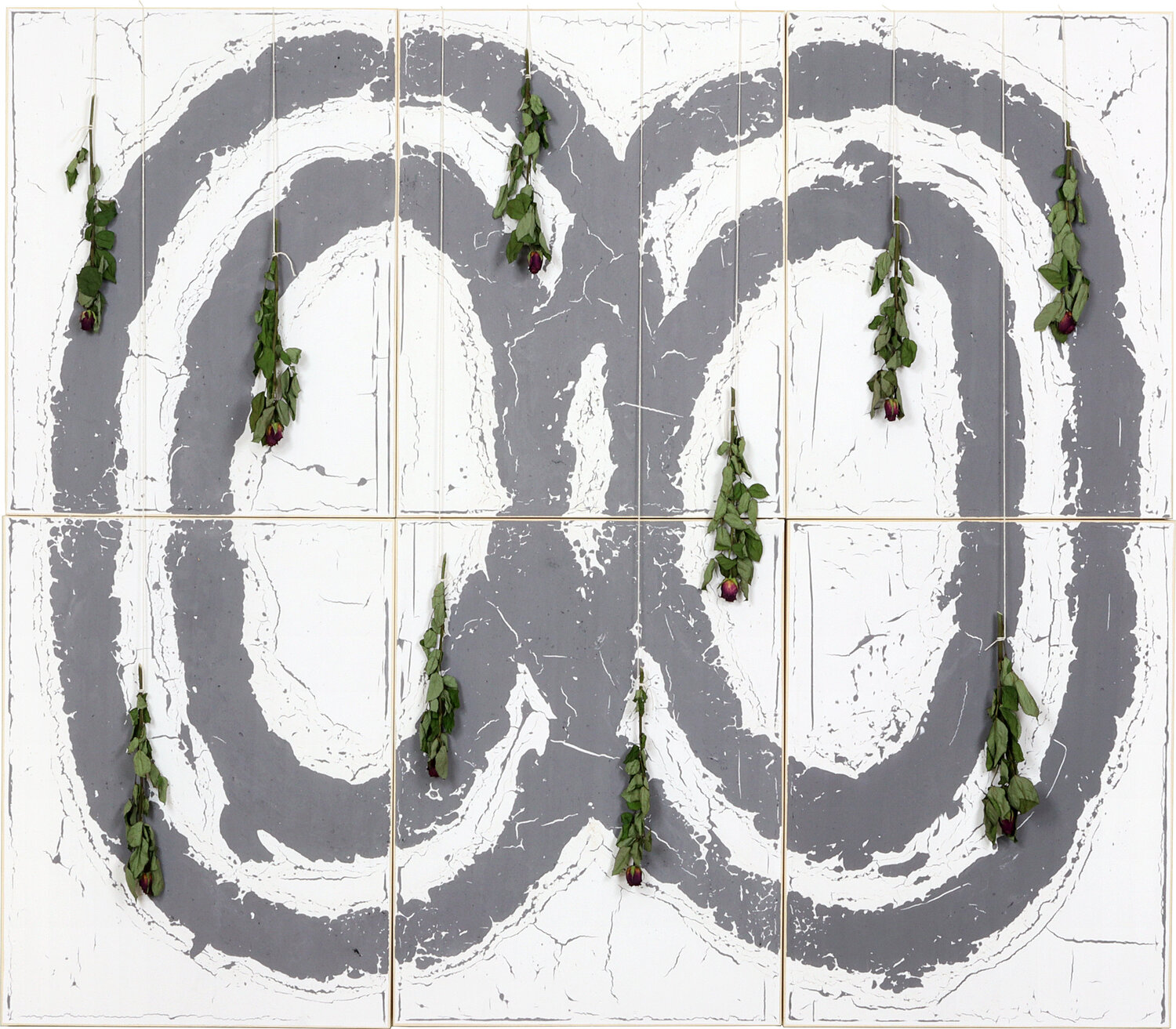 #556 Lemniscate Pace Johan Söderström