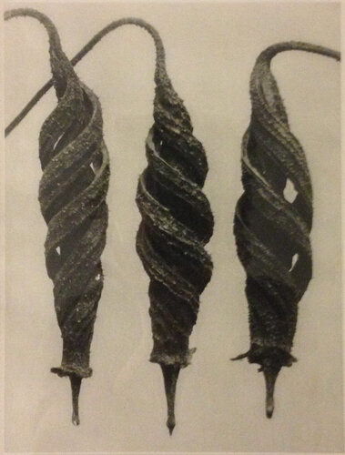 Wundergarten der Natur 1 van Karl Blossfeldt, Fotografie te koop op Singulart