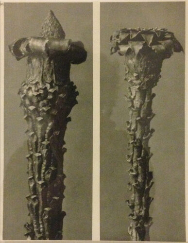 Wundergarten der Natur 6 van Karl Blossfeldt, Fotografie te koop op Singulart