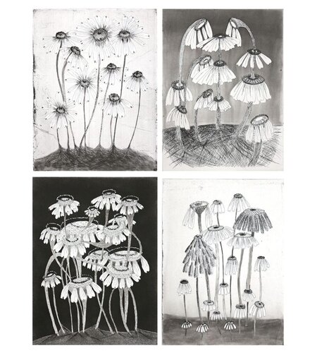 Variety Flowers (Set of four prints) van Kiki Smith, Afdruk te koop op Singulart