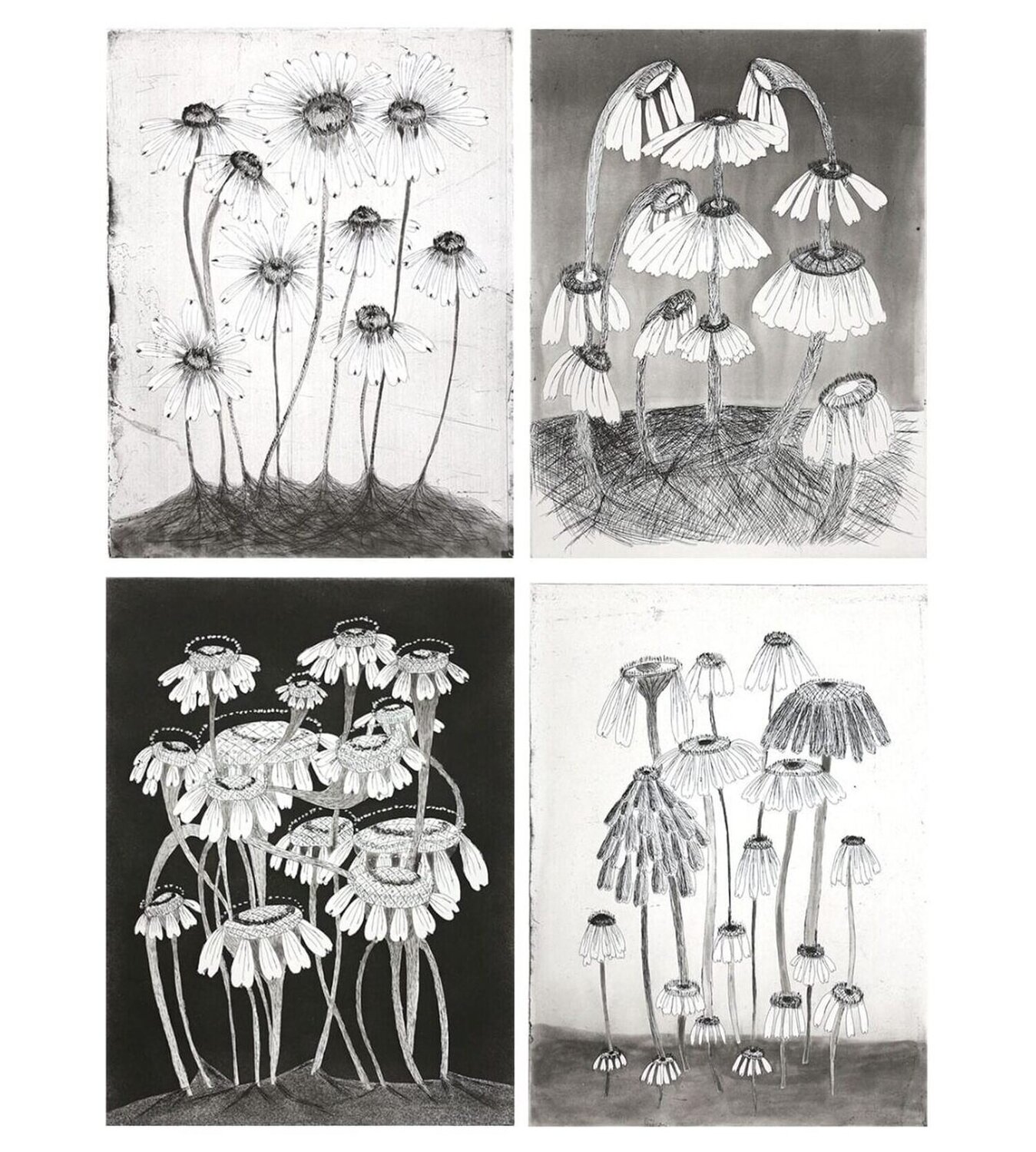 Variety Flowers (Set of four prints) Kiki Smith Druck zu verkaufen