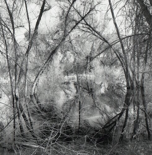 Arizona von Lee Friedlander, Fotografie kaufen auf Singulart