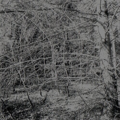 Nyack, New York van Lee Friedlander, Fotografie te koop op Singulart