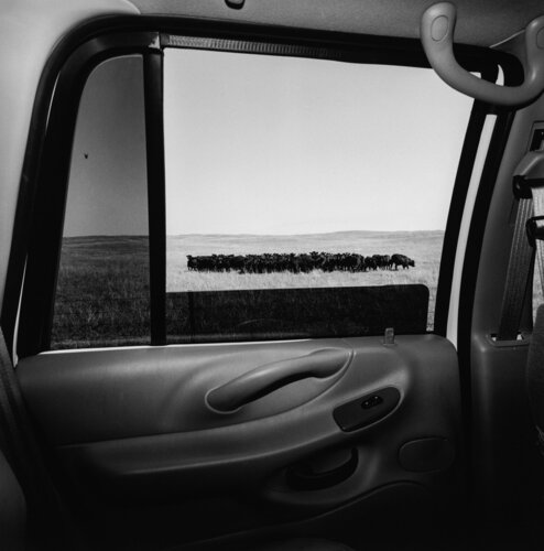 Nebraska van Lee Friedlander, Fotografie te koop op Singulart
