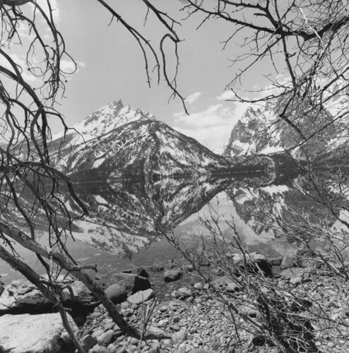 Grand Teton National Park, Wyoming van Lee Friedlander, Fotografie te koop op Singulart