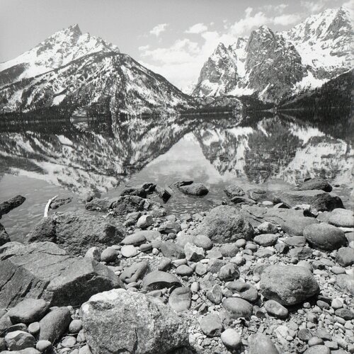 Grand Teton National Park, Wyoming di Lee Friedlander, Fotografia in vendita su Singulart