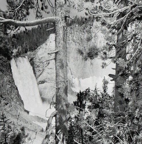 Yellowstone National Park, Wyoming di Lee Friedlander, Fotografia in vendita su Singulart