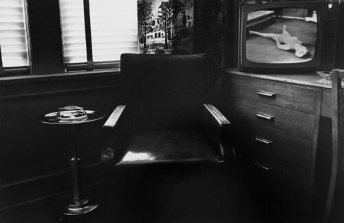 Little Screens (Murder on the TV show) di Lee Friedlander, Fotografia in vendita su Singulart
