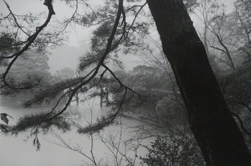 Kyoto di Lee Friedlander, Fotografia in vendita su Singulart