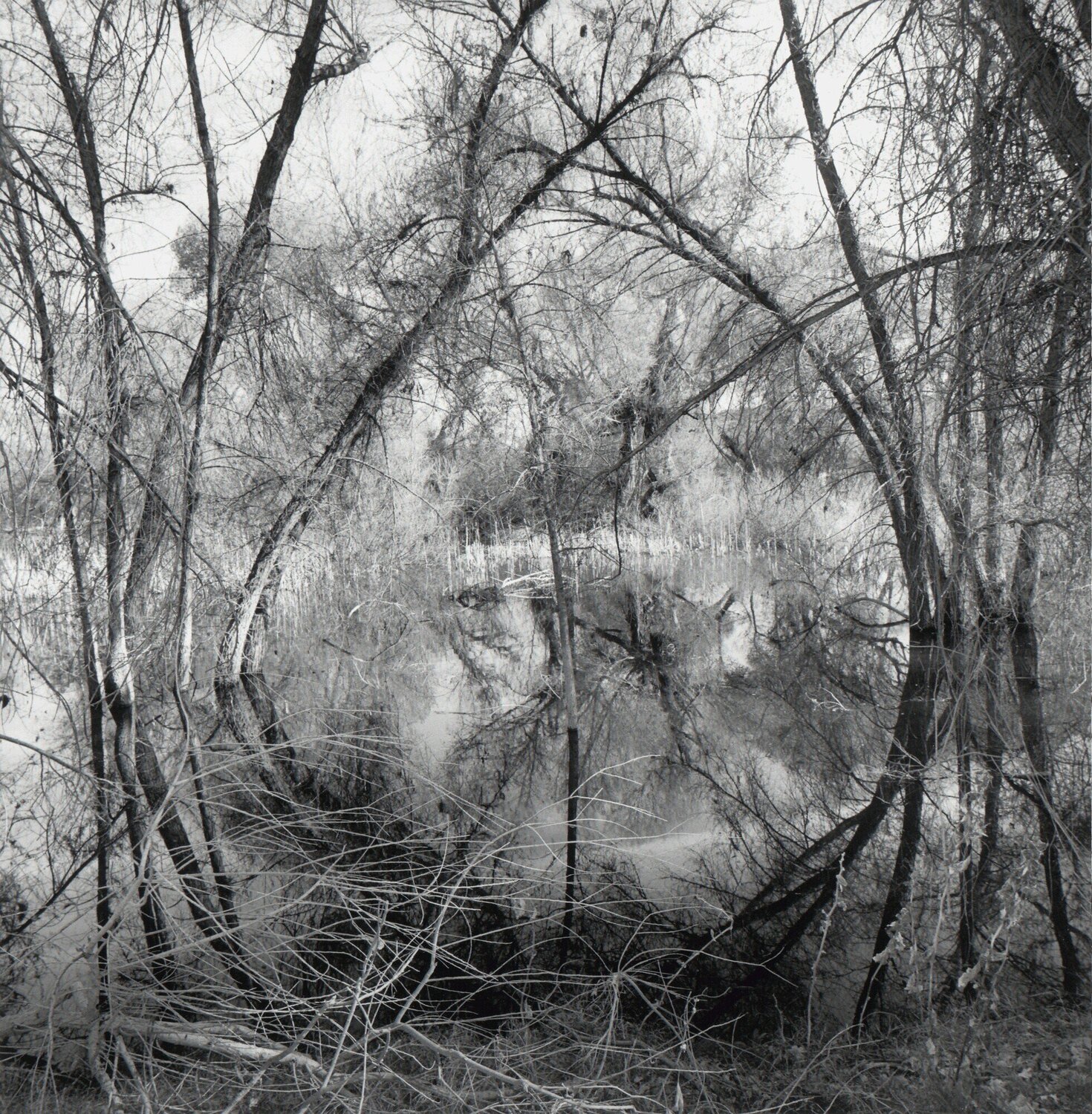 Arizona Lee Friedlander