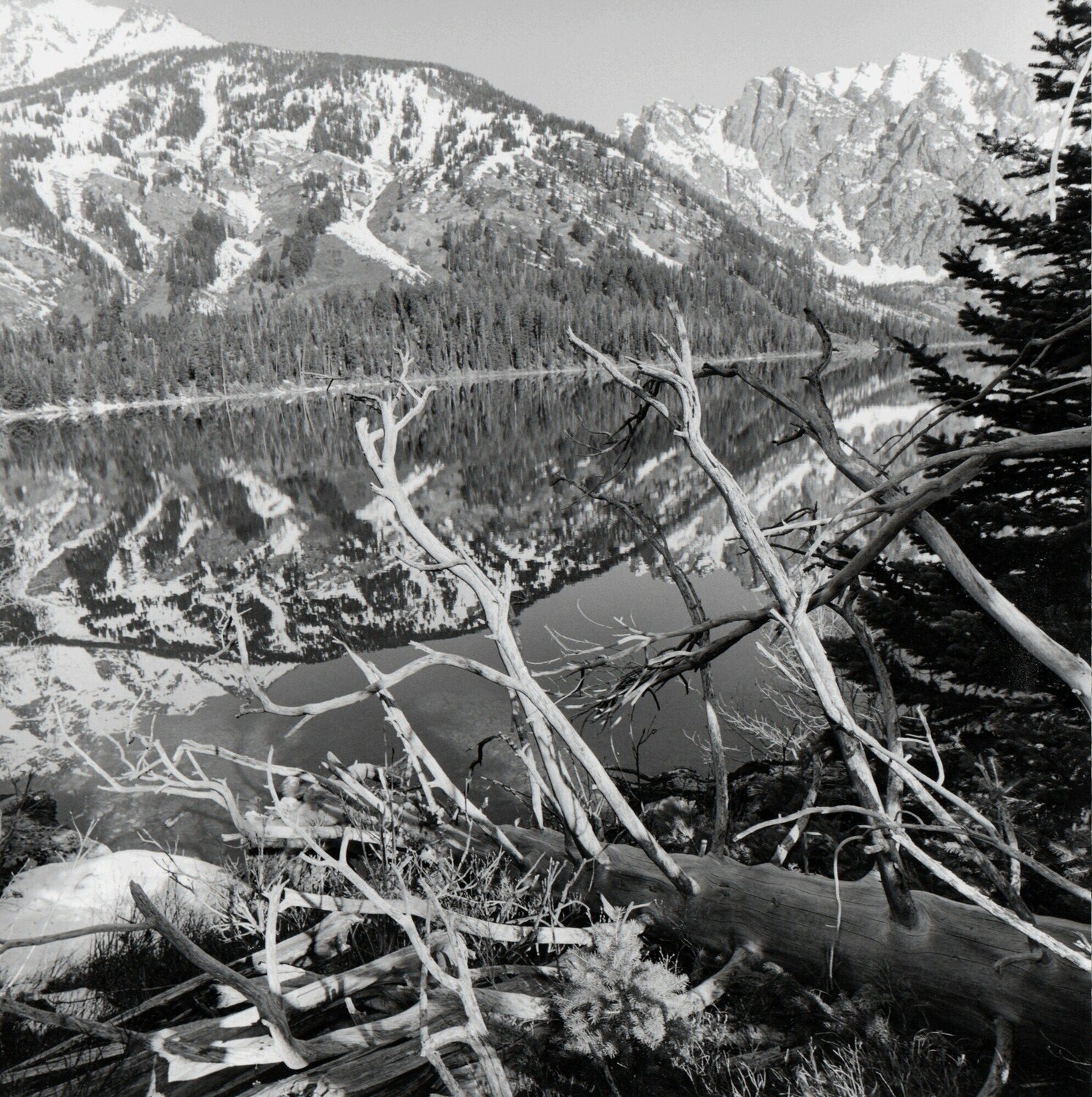 Grand Teton National Park, Wyoming Lee Friedlander Fotografie zu verkaufen