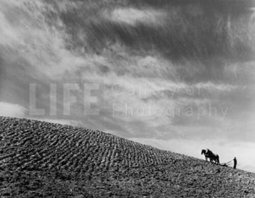 Sharecropper Plowing a Field with Pair of Horses par Margaret Bourke-White, Photographie en vente sur Singulart