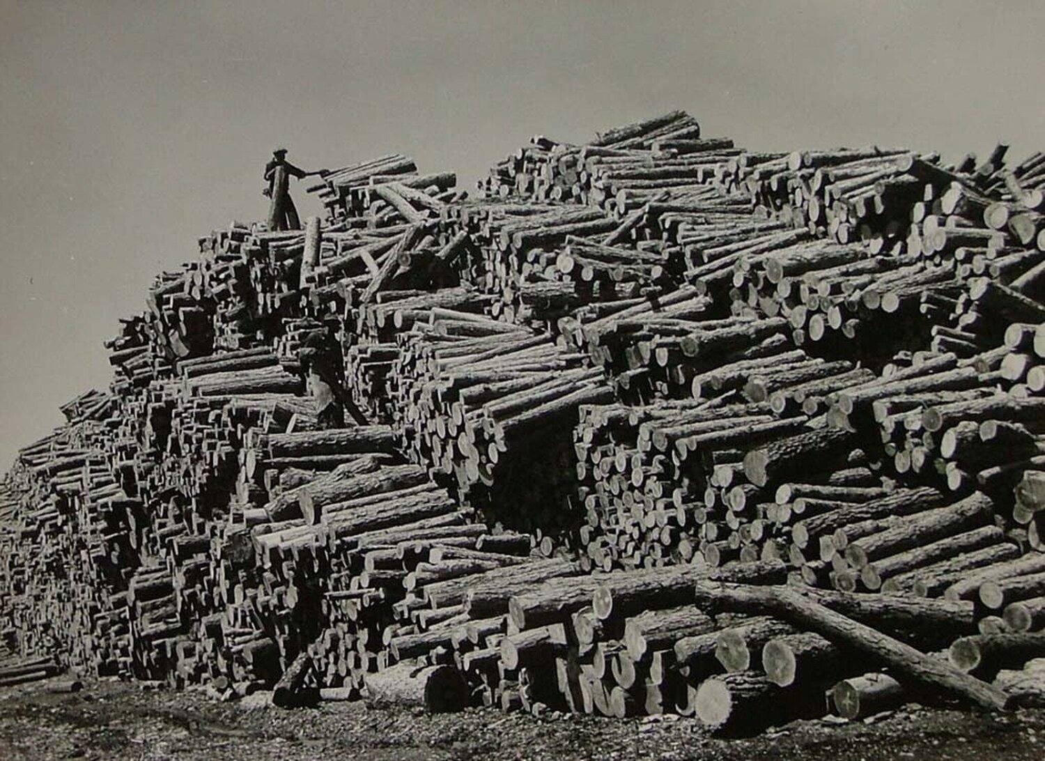 Worker on Top of Pine Log Pile Margaret Bourke-White