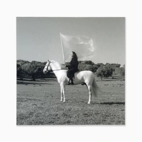 The Hero by Marina Abramovic, 版画 for Sale on Singulart