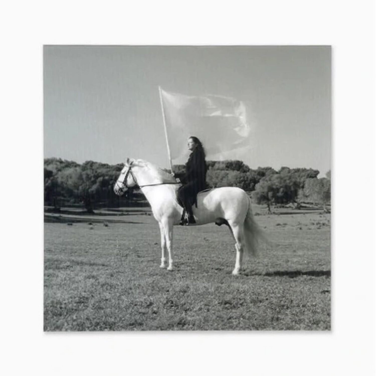 The Hero Marina Abramovic Stampa in vendita