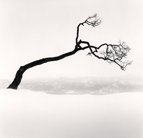 アート・デザイン・音楽 IN FRANCE by MICHAEL KENNA Buy France by Michael Kenna online – Setanta Books
