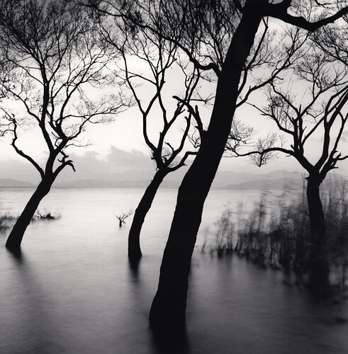Erhai Lake, Study 12, Yunnan, China van Michael Kenna, Fotografie te koop op Singulart