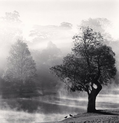 Morning Mists, Pyin U Lwin, Myanmar van Michael Kenna, Fotografie te koop op Singulart