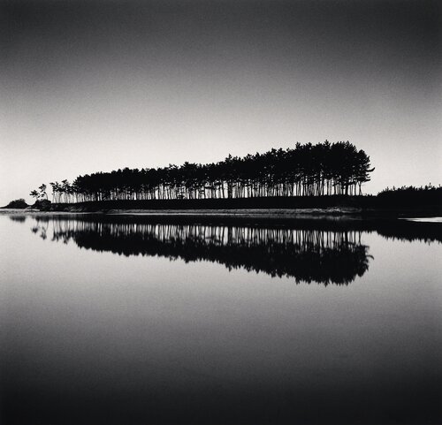 Pine Trees, Study 5, Unyeo Beach, Chungcheongnam-do van Michael Kenna, Fotografie te koop op Singulart