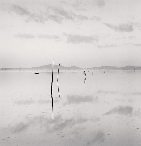 Reflecting Sticks, Muan-gun, Mokseo-ri, Jeollanam-do, South Korea van Michael Kenna, Fotografie te koop op Singulart