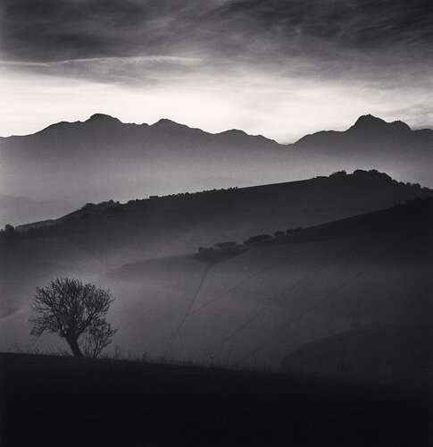 Tree and Gran Sasso Mountain, Castilenti, Abruzzo, Italy van Michael Kenna, Fotografie te koop op Singulart