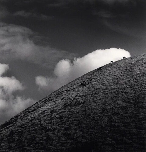 Seven Horses, Iti Maunga, Easter Island van Michael Kenna, Fotografie te koop op Singulart