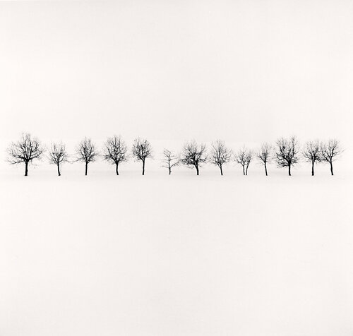 Fourteen Trees, Higashikawa, Hokkaido, Japan van Michael Kenna, Fotografie te koop op Singulart