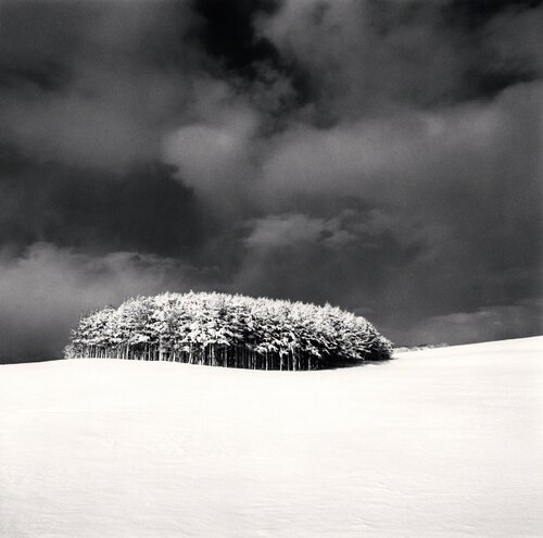White Copse, Study 3, Wakkanai, Hokkaido, Japan van Michael Kenna, Fotografie te koop op Singulart